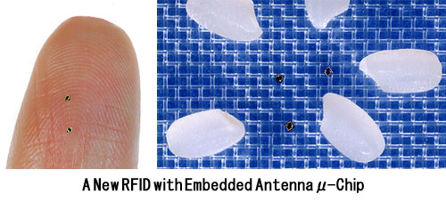 RFID Transponder neben einem Reiskorn RFID Transponder neben einem Reiskorn